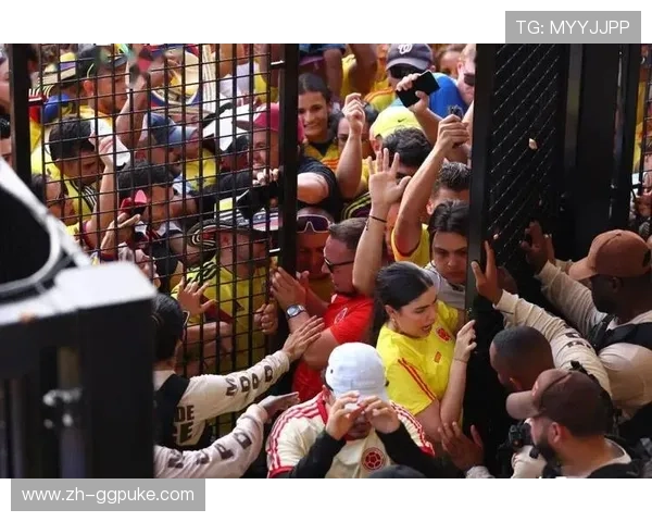 球迷冲入场内庆祝进球,赛后安保措施加强讨论 球迷冲入场内庆祝进球,赛后安保措施加强讨论